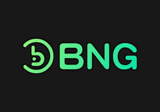 BNG電子 Logo
